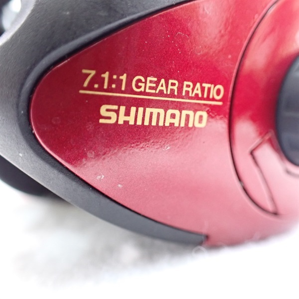 ０９ワカサギマチックＲ